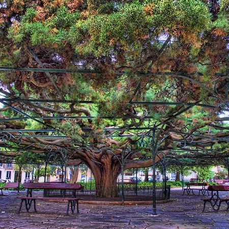 Principe Real Charming Garden View Flat At The Heart Of *